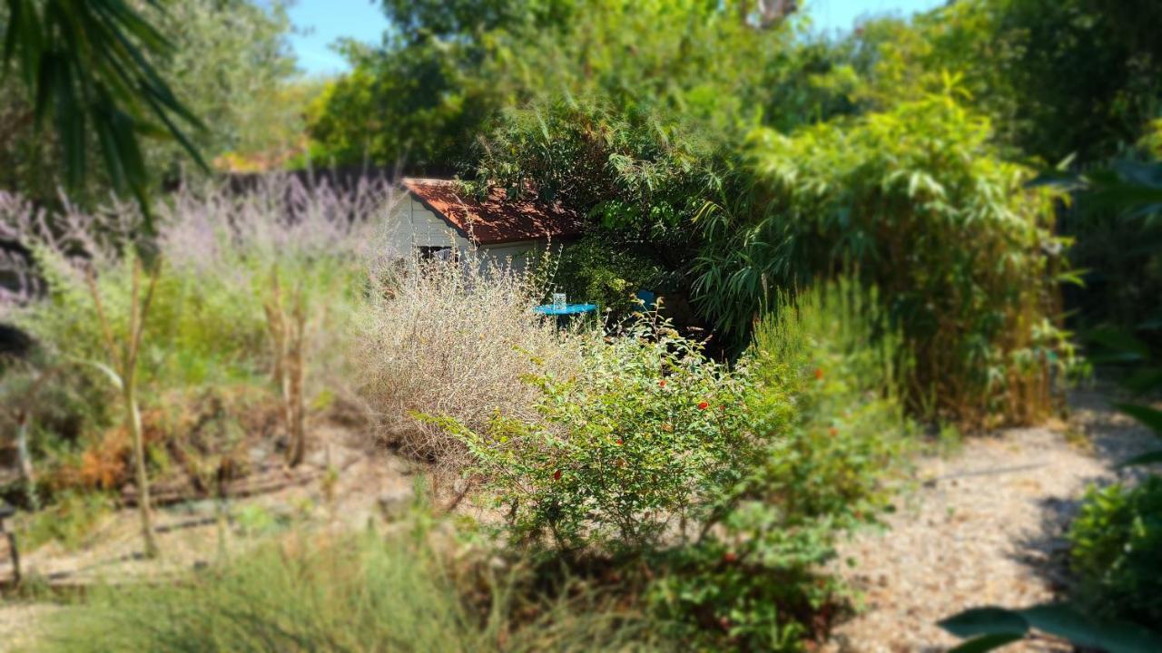 Apartament Chez Nous Dans Notre Petit Jardin Montpellier Zewnętrze zdjęcie